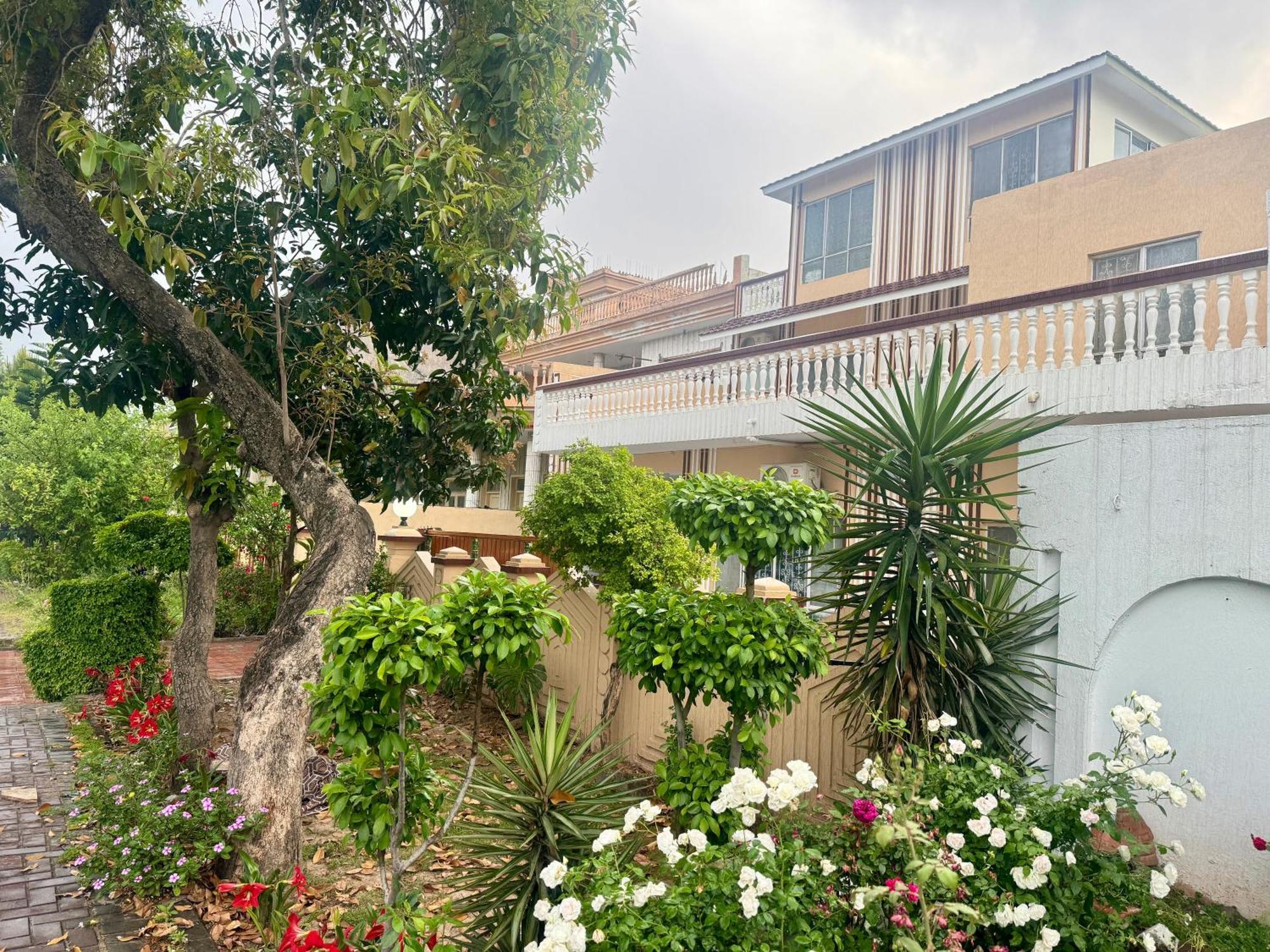 Decent Lodge Guest House İslamabad Dış mekan fotoğraf